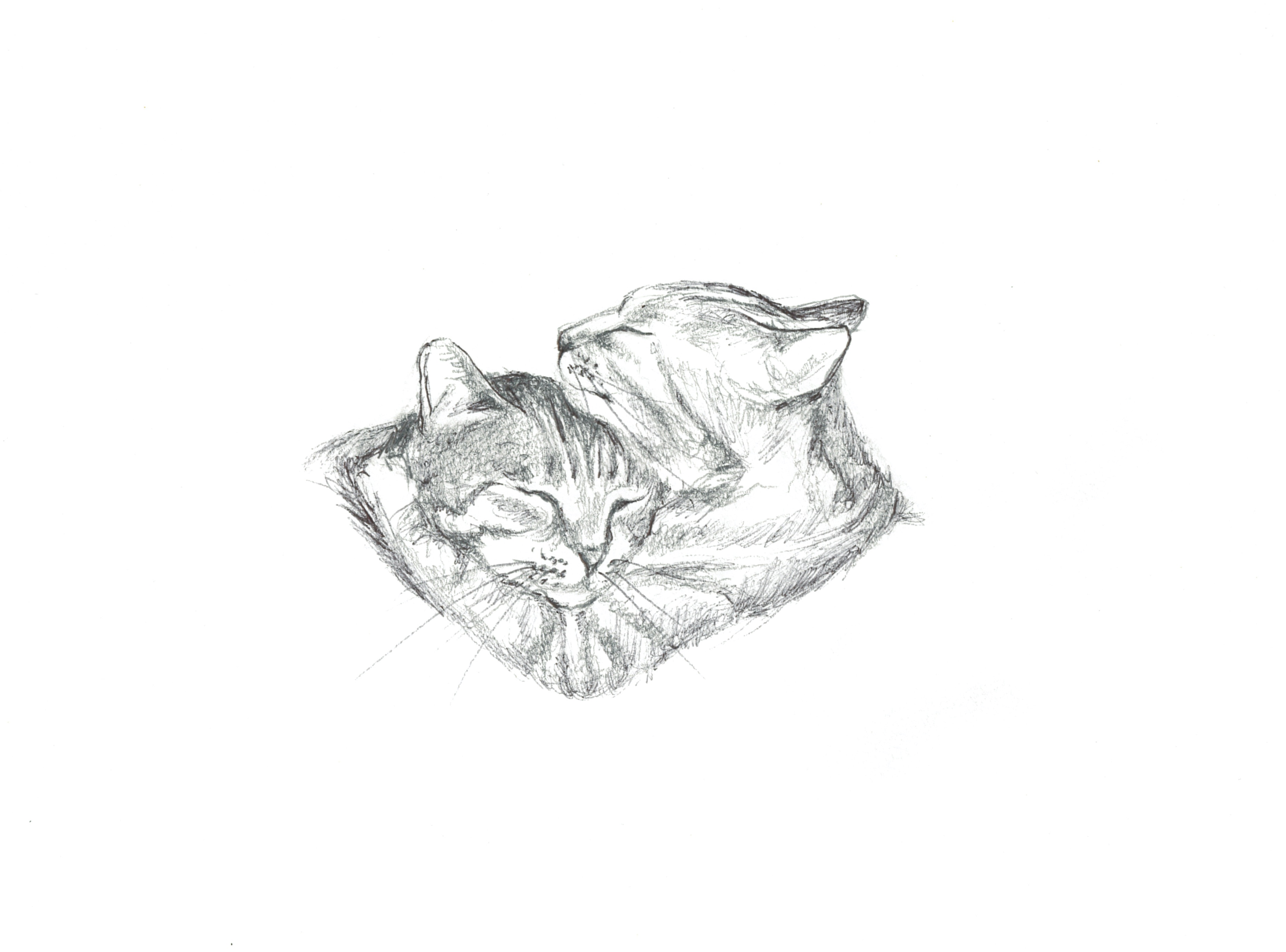 Artwork 05